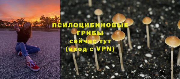 кокаин премиум Каменка