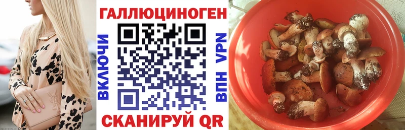 Псилоцибиновые грибы Cubensis  Купить закладки  Железноводск 